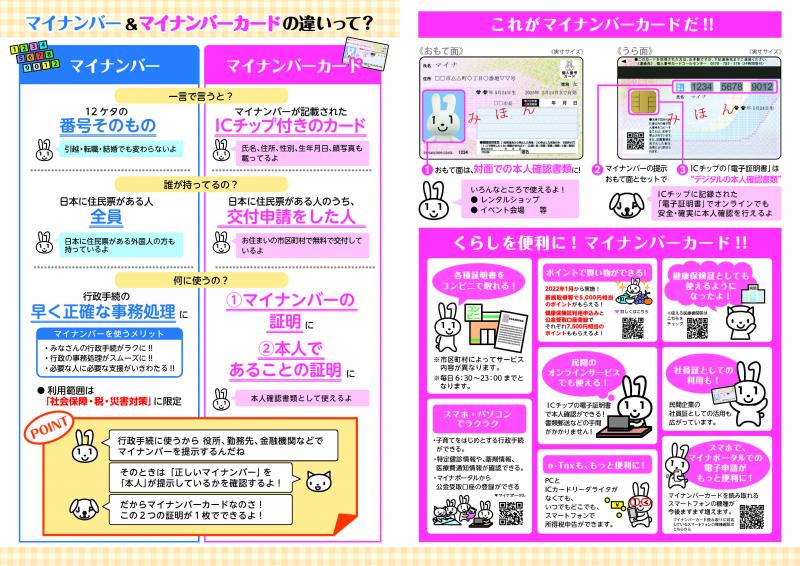 画像:マイナンバーとマイナンバーカードのちがい(裏)