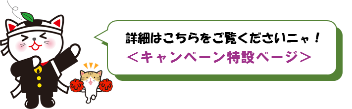 画像:キャンペーン特設ページ
