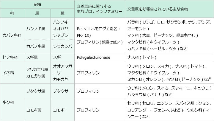 画像:花粉-食物アレルギー症候群に関与する花粉と植物性食品 花粉、カバノキ科、ハンノキ属、ハンノキオオバヤシャブシ、カバノキ属、シラカンバ、交差反応に関与する主なプロテインファミリー、Bet v1 ホモログ(別名:PR-10) プロフィリン(頻度は低い)、交差反応が報告されている主な食物、バラ科(リンゴ、モモ、サクランボ、ナシ、アンズ、アーモンド)、マメ科(大豆、ピーナッツ、緑豆もやし)、マタタビ科(キウイフルーツ)、カバノキ科(ヘーゼルナッツ)など、花粉、ヒノキ科、スギ属、スギ、交差反応に関与する主なプロテインファミリー、Polygalacturonase、交差反応が報告されている主な食物、ナス科(トマト)、花粉、イネ科、アワガエリ属、オオアワガエリ カモガヤ属、カモガヤ、交差反応に関与する主なプロテインファミリー、プロフィリン、交差反応が報告されている主な食物、ウリ科(メロン、スイカ)、ナス科(トマト)、マタタビ科(キウイフルーツ)、ミカン科(オレンジ)、マメ科(ピーナッツ)など、花粉、キク科、ブタクサ属、ブタクサ、ヨモギ属、ヨモギ、交差反応に関与する主なプロテインファミリー、プロフィリン、交差反応が報告されている主な食物、セリ科(セロリ、ニンジン、スパイス種:クミン、コリアンダー、フェンネルなど)、ウルシ科(マンゴー)など