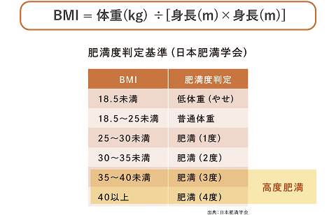 画像:肥満度判定基準