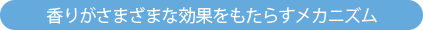 香りがさまざまな効果をもたらすメカニズム