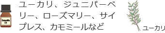 ユーカリ、ジュニパーベリー、ローズマリー、サイプレス、カモミールなど