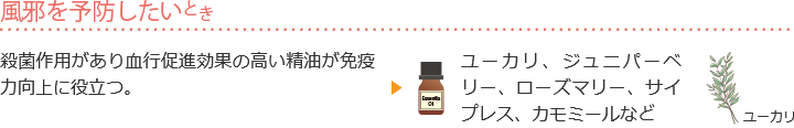 風邪を予防したいとき 殺菌作用があり血行促進効果の高い精油が免疫力向上に役立つ。ユーカリ、ジュニパーベリー、ローズマリー、サイプレス、カモミールなど