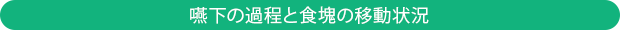 嚥下の過程と食塊の移動状況
