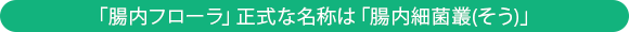 「腸内フローラ」正式な名称は「腸内細菌叢」