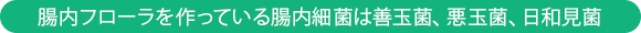 腸内フローラを作っている腸内細菌は善玉菌、悪玉菌、日和見菌