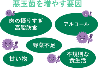 画像:悪玉菌を増やす要因 肉の摂りすぎ 高脂肪食 アルコール 野菜不足 甘い物 不規則な食生活