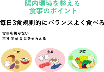 画像:腸内環境を整える食事のポイント 毎日3食規則的にバランスよく食べる 食事を抜かない 主食 主菜 副菜をそろえる