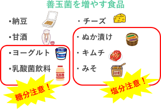 画像:善玉菌を増やす食品 納豆 チーズ 甘酒 ヨーグルトと乳酸菌飲料は糖分注意 ぬか漬け、キムチ、みそは塩分注意