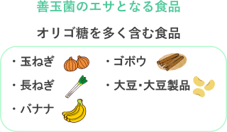 画像:善玉菌のエサとなる食品 オリゴ糖を多く含む食品 玉ねぎ ゴボウ 長ねぎ 大豆・大豆製品 バナナ