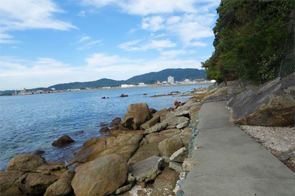 画像:遊歩道