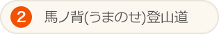 馬ノ背(うまのせ)登山道