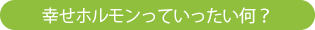 幸せホルモンっていったい何?