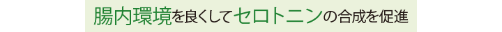 腸内環境を良くしてセロトニンの合成を促進