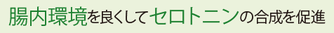 腸内環境を良くしてセロトニンの合成を促進