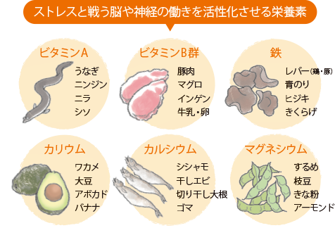 ストレスと戦う脳や神経の働きを活性化させる栄養素