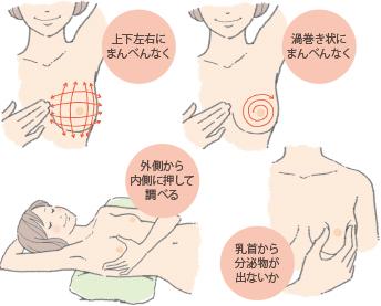 画像:触ってチェック