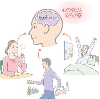 画像:セロトニン、心のゆとり、安らぎ感