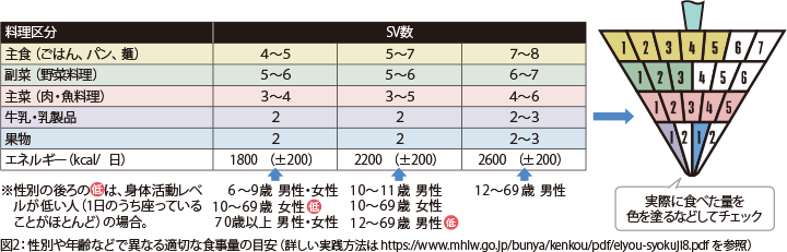 画像:図2 性別や年齢などで異なる適切な食事量の目安