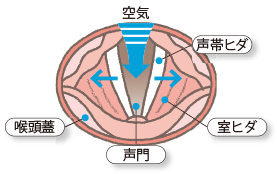 先生のための健康なんでもq A第2回 声がれ 喉の痛みを解消 公立学校共済組合