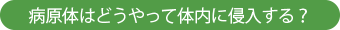 病原体はどうやって体内に侵入する?