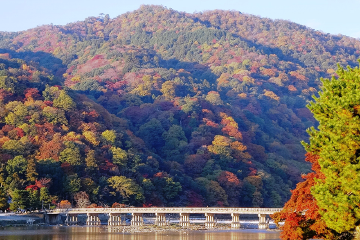 写真:嵐山