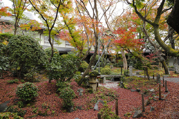 写真:中庭園