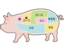 画像:豚の部位 肩 肩ロース ロース ヒレ 外モモ バラ モモ。