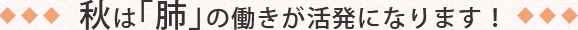 秋は「肺」の働きが活発になります!