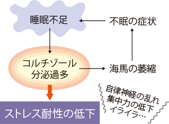 図:睡眠不足による悪循環