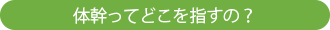 体幹ってどこをさすの?