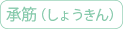 承筋(しょうきん)