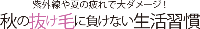 紫外線や夏の疲れで大ダメージ!秋の抜け毛に負けない生活習慣