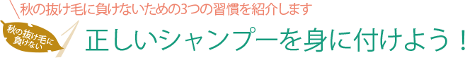 正しいシャンプーを身に付けよう!