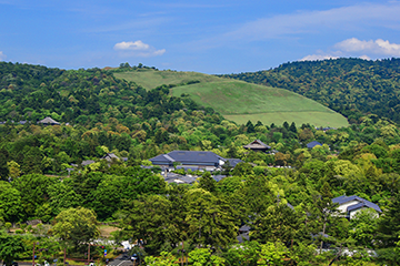 写真:若草山