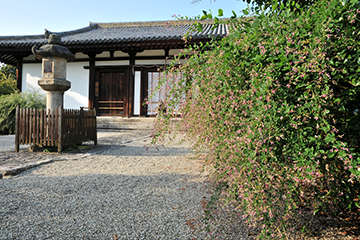 写真:新薬師寺(国宝)