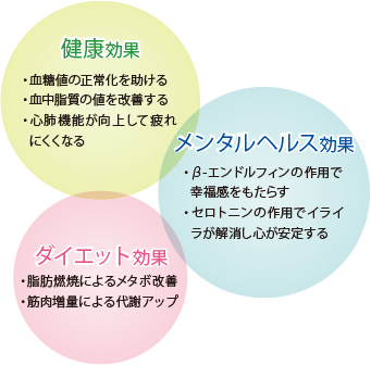 画像:運動がもたらす3つの効果 健康効果:血糖値の正常化を助ける、血中脂質の値を改善する、心肺機能が向上して疲れにくくなる メンタルヘルス効果:β-エンドルフィンの作用で幸福感をもたらす、セロトニンの作用でイライラが解消し心が安定する ダイエット効果:脂肪燃焼によるメタボ改善、筋肉増量による代謝アップ