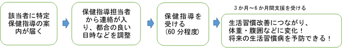 訪問型特定保健指導イメージ図.png